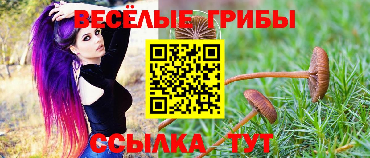 Галлюциногенные грибы мухоморы Рузаевка